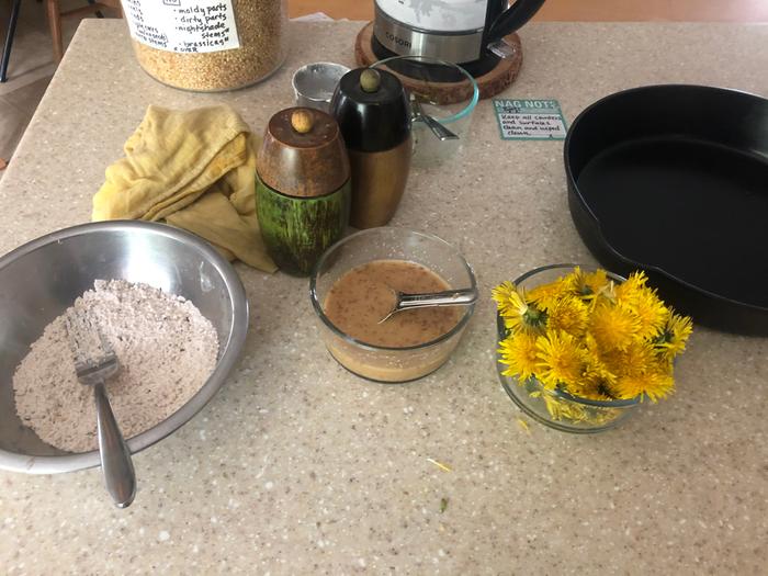 dandelion-fritters-bootcamp