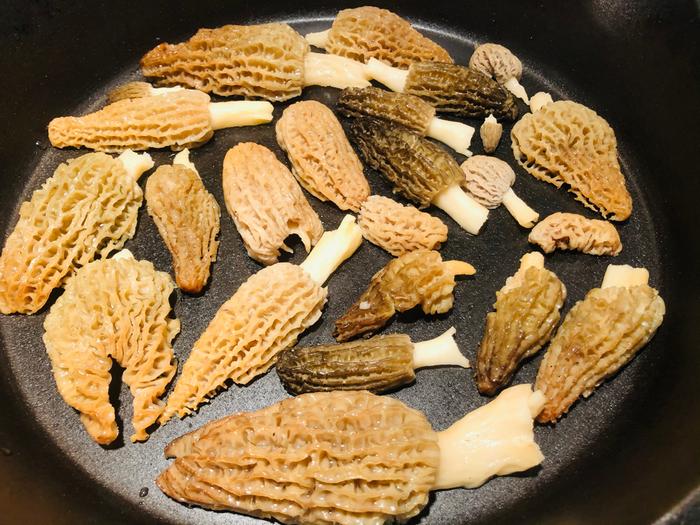 morels-cooking-bootcamp