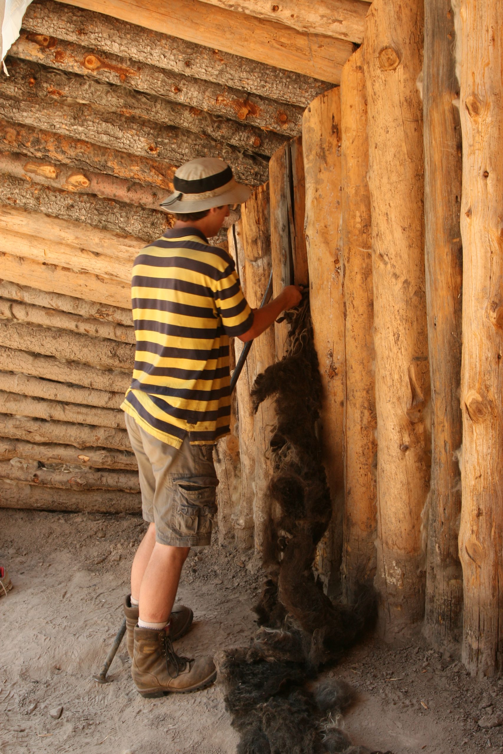stuffing-wool